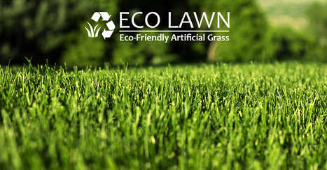 Eco Lawn