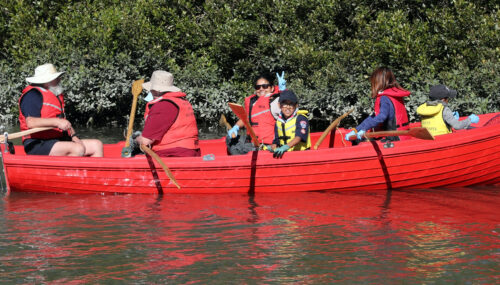 Whau River Celebration Day and Estuary Clean Up 2025