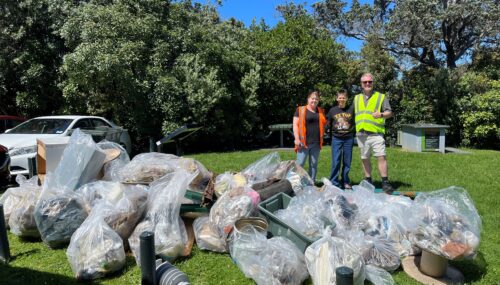 Who Knew Clean-Ups Could Be This Revealing!